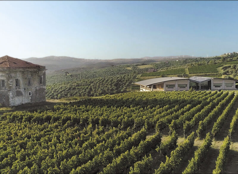 Paternoster, per i 100 anni arriva Barone Rotondo