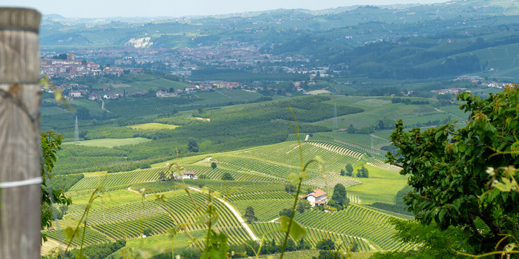 I 30 anni della Doc Verduno Pelaverga, enclave distintiva nel feudo del Barolo