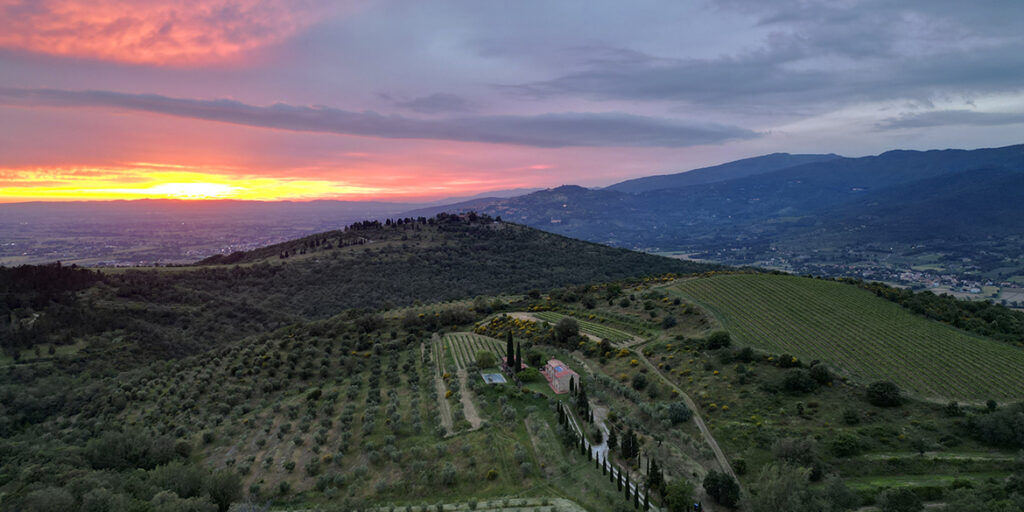 Cortona e Syrah: la simbiosi vitigno-terroir raccontata da tre produttori della Doc
