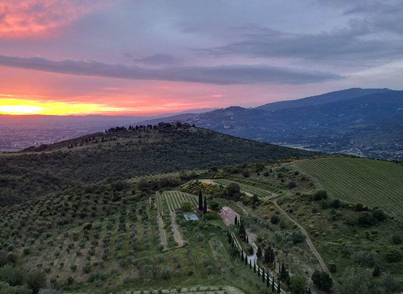 Cortona e Syrah: la simbiosi vitigno-terroir raccontata da tre produttori della Doc