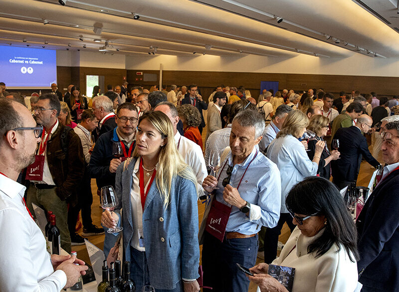 Cabernet vs Cabernet, la conferenza con degustazione a Vinovip Cortina 2024