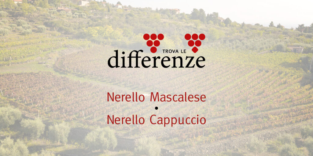 Trova le differenze (1): Nerello Mascalese vs Nerello Cappuccio