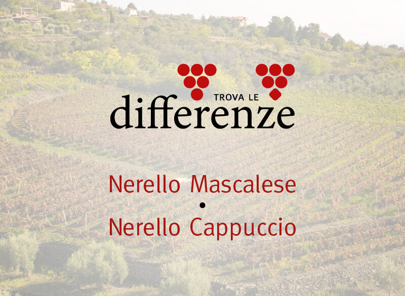 Trova le differenze (1): Nerello Mascalese vs Nerello Cappuccio