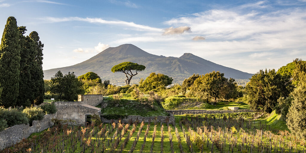 A Pompei arriva il progetto archeo-agricolo di Tenute Capaldo