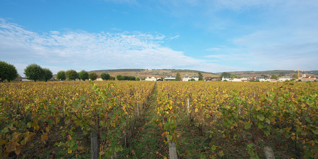 Cinque annate di Les Suchots, Vosne-Romanée 1er Cru di Confuron-Cotetidot