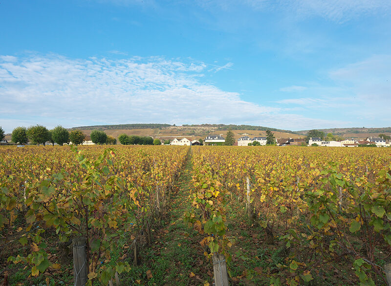 Cinque annate di Les Suchots, Vosne-Romanée 1er Cru di Confuron-Cotetidot