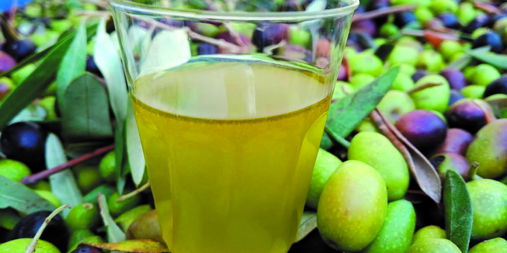 L’olio nuovo è frutto di professionisti