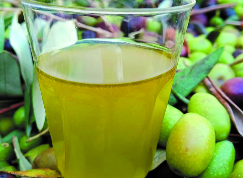 L’olio nuovo è frutto di professionisti