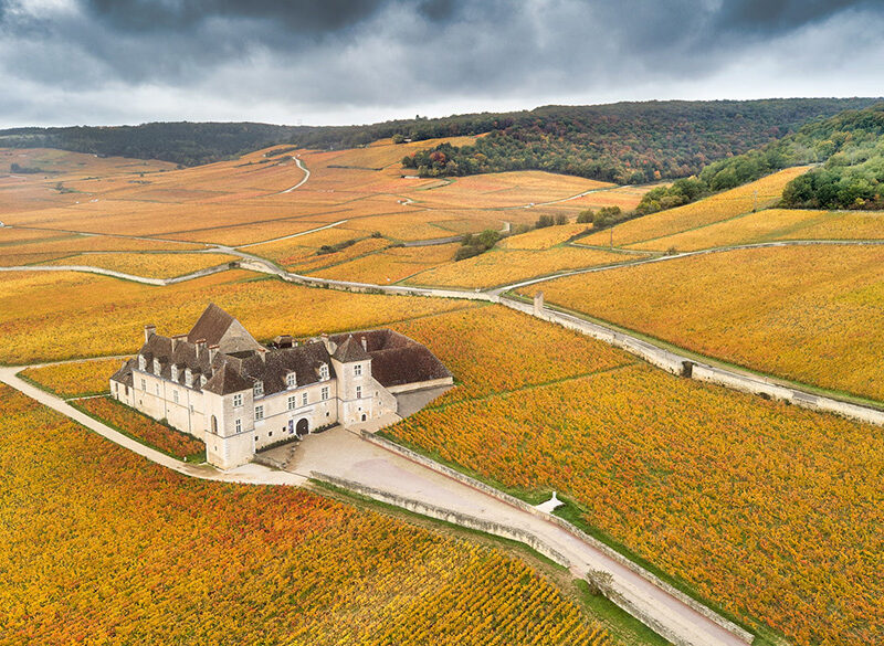 Joseph Drouhin, stella di Borgogna, entra nel catalogo Ghilardi