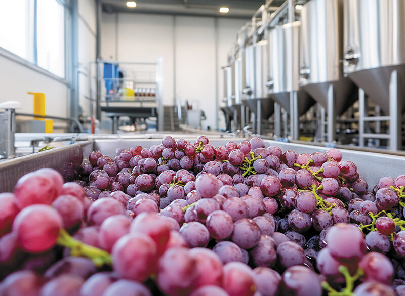 NoLo: bassa gradazione, missione possibile