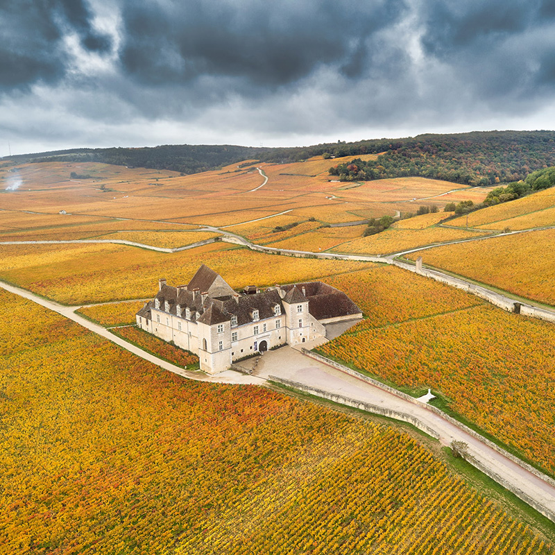 Joseph Drouhin, stella di Borgogna, entra nel catalogo Ghilardi
