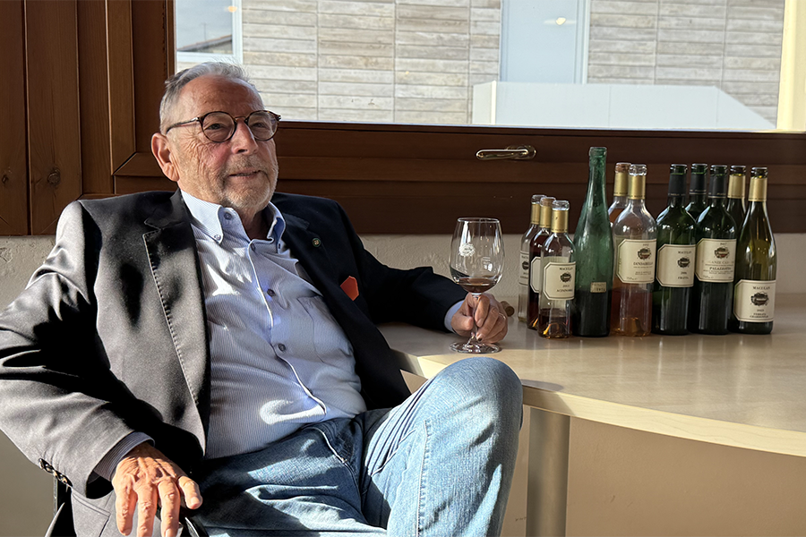 Maculan 50 vendemmie