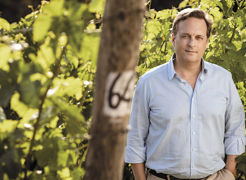 Argentiera: l’eleganza sposa l’energia salina, Top guide vini 2026