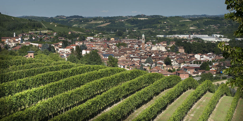 Il Roero riscrive i suoi paradigmi espressivi