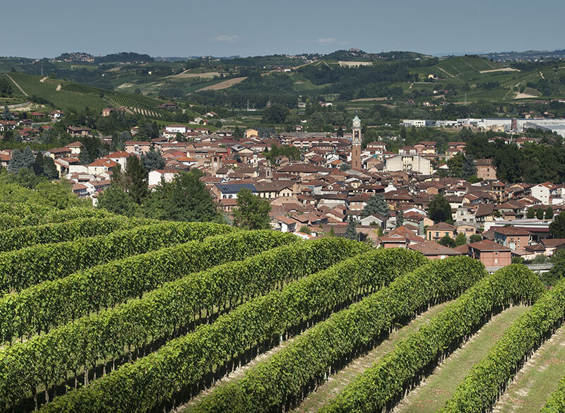 Il Roero riscrive i suoi paradigmi espressivi