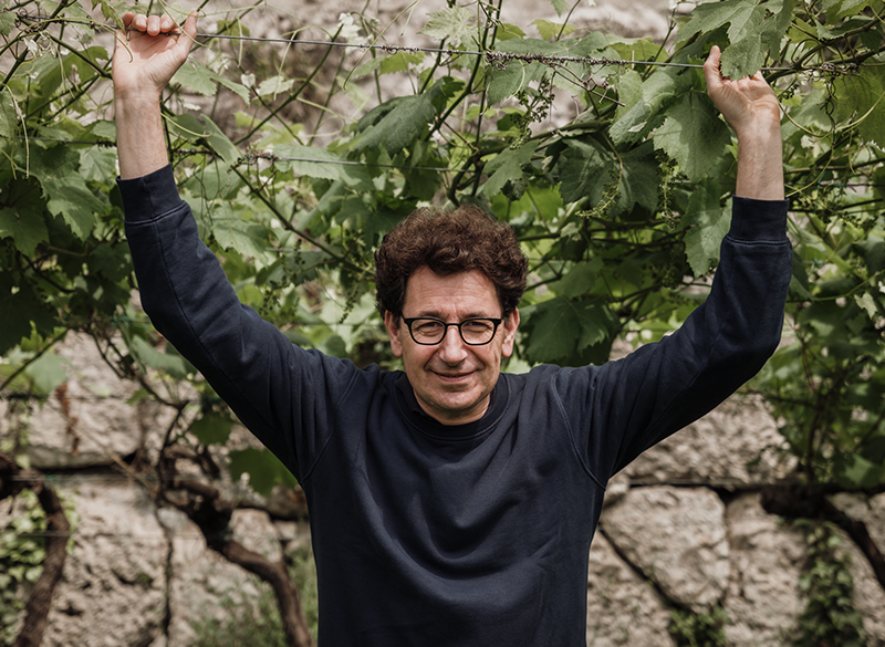 Dalla F1 al vino: Eleusi è l’altra vita lenta di Mattia Binotto