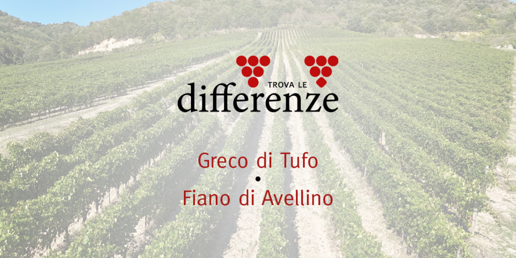Trova le differenze (2): Greco di Tufo e Fiano di Avellino