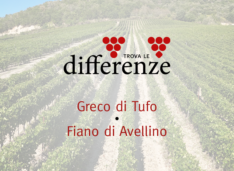 Trova le differenze (2): Greco di Tufo e Fiano di Avellino