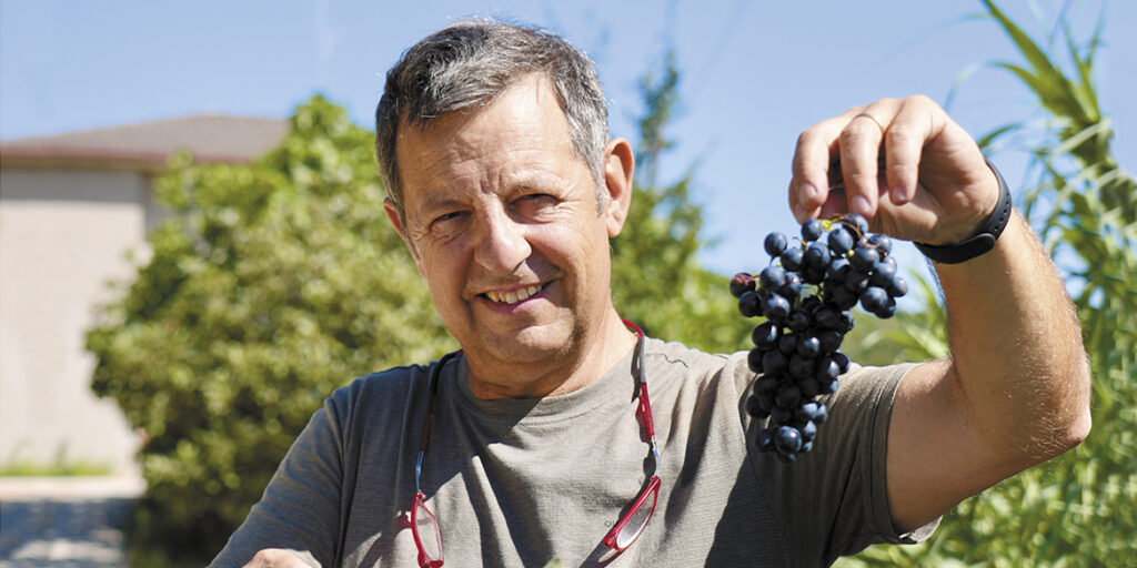 Le Caniette: la viticoltura è un gesto d’amore