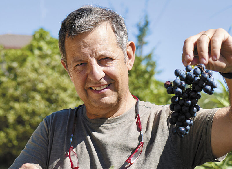 Le Caniette: la viticoltura è un gesto d’amore
