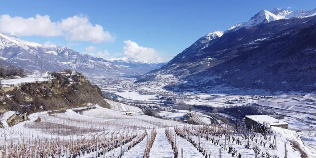 Doc Valle d’Aosta, arrivano Spumante, Riserva e Claret