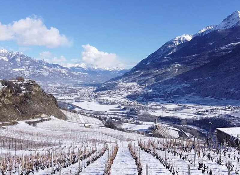 Doc Valle d’Aosta, arrivano Spumante, Riserva e Claret