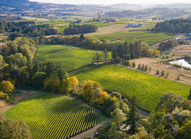 Herita Marzotto rafforza la sua presenza in Willamette Valley (Oregon)