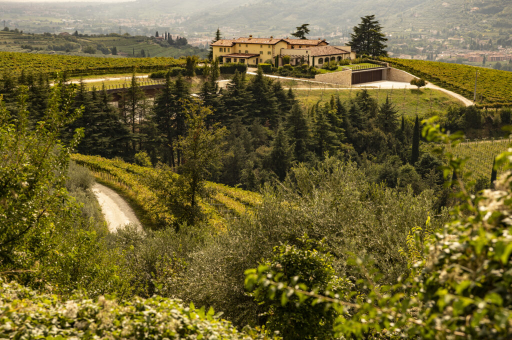 Costa Arènte: tipicità, rispetto e precisione enologica in Valpantena