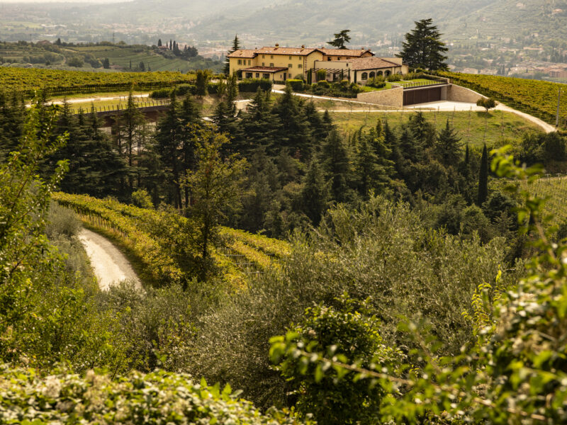 Costa Arènte: tipicità, rispetto e precisione enologica in Valpantena