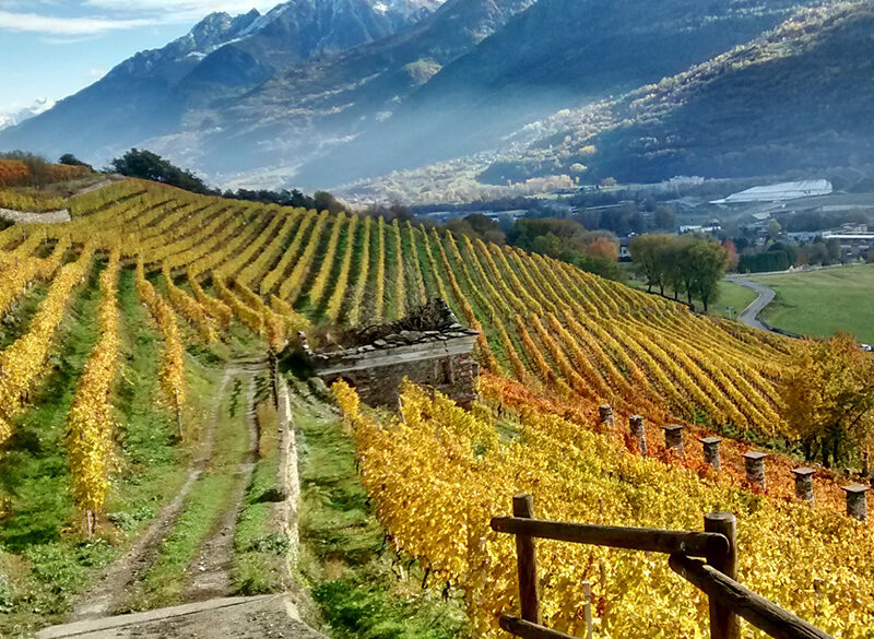 Valle d’Aosta Petite Arvine, Fumin e Torrette raccontati da 3 produttori della Doc