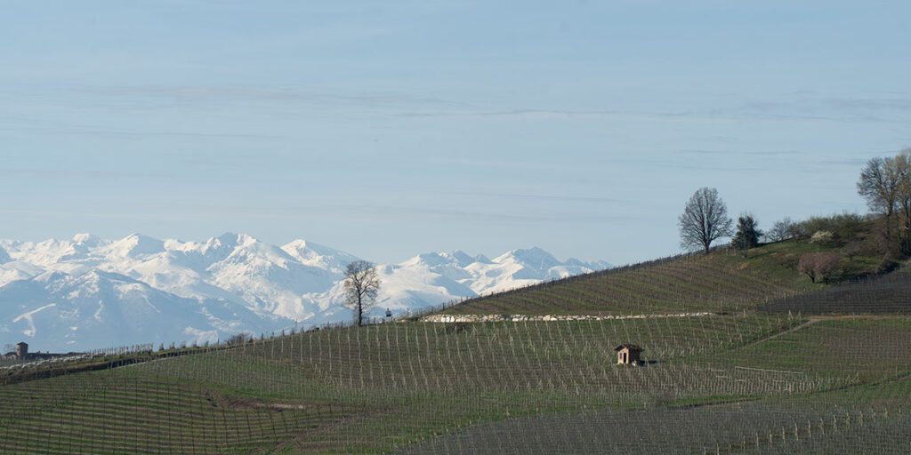 Sagna sposa la rigorosa eleganza dei Barolo di Roberto Voerzio