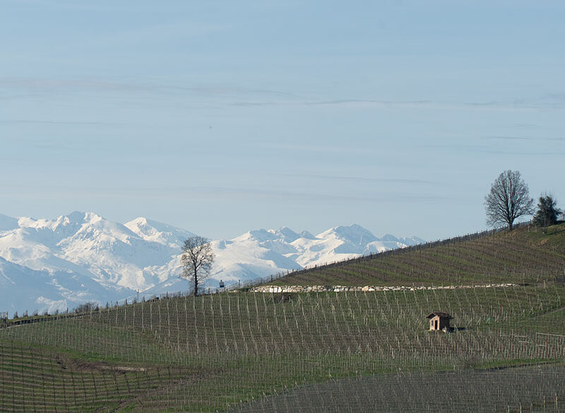 Sagna sposa la rigorosa eleganza dei Barolo di Roberto Voerzio