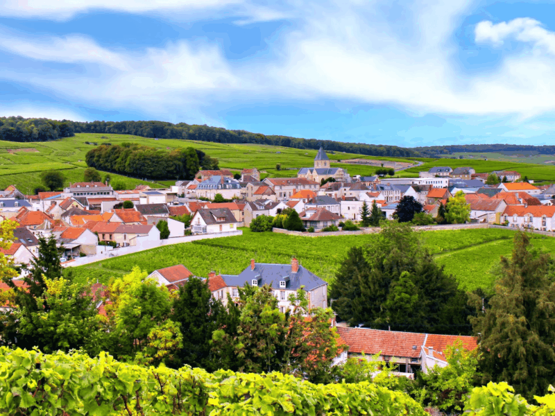 Champagne chiama Italia: le storie di Encry, Alberto Massucco e Marie Clugny