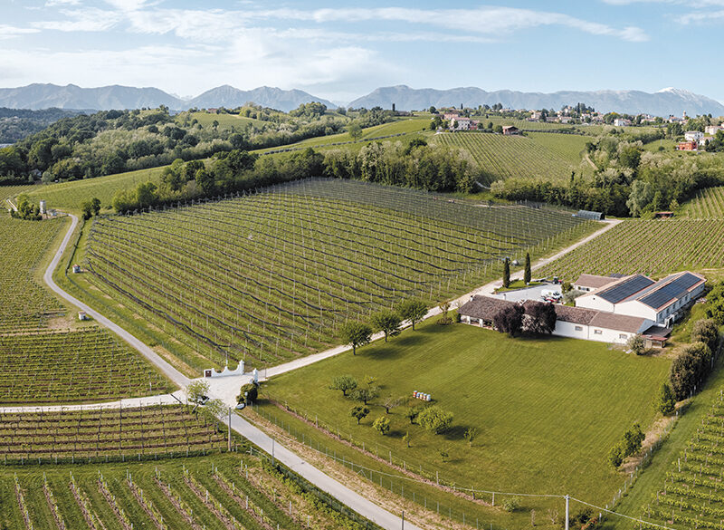 Gabe tenute & selezioni, passione divisa tra vigna e distribuzione