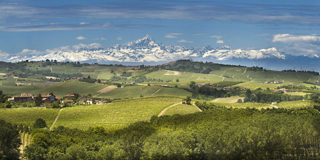 Il Langhe Doc non è il fratello minore dei grandi rossi piemontesi