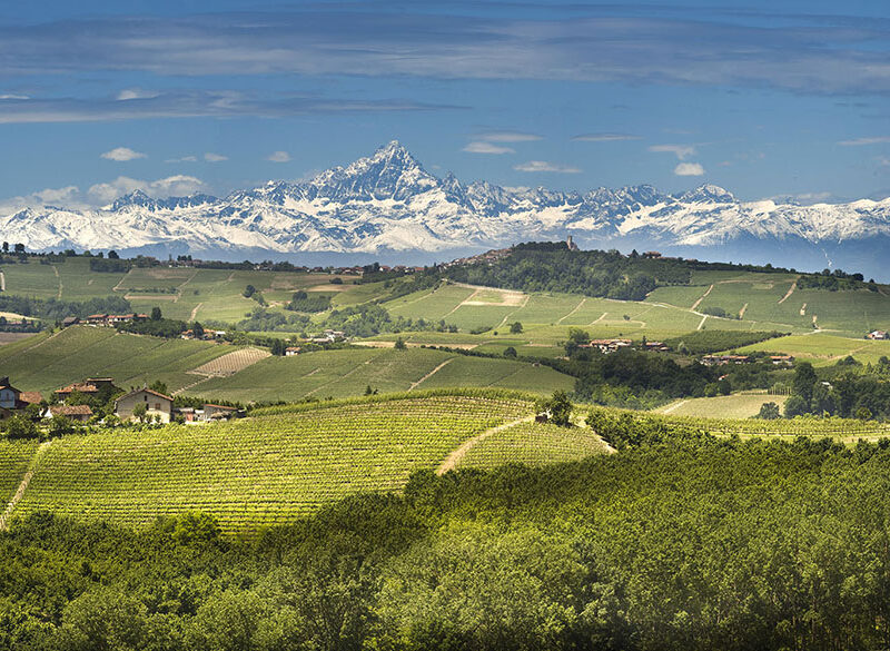 Il Langhe Doc non è il fratello minore dei grandi rossi piemontesi