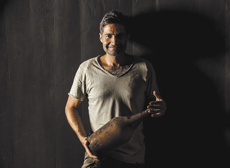 Fattoria Nicolucci: eleganti e austeri Sangiovese di Predappio