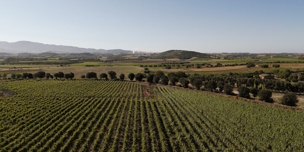 Il nuovo capitolo Pala all’ombra di un Nuraghe nascosto