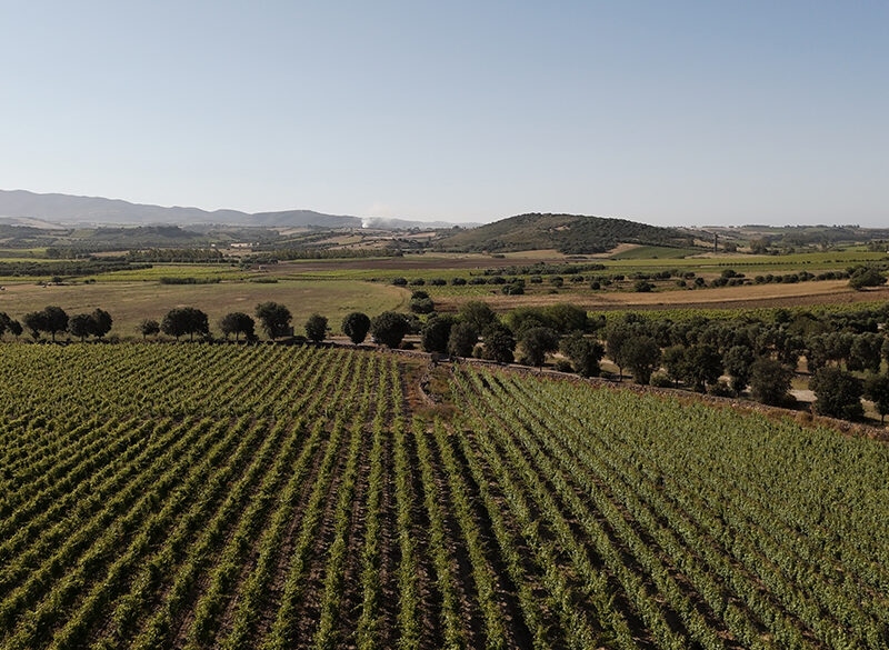 Il nuovo capitolo Pala all’ombra di un Nuraghe nascosto