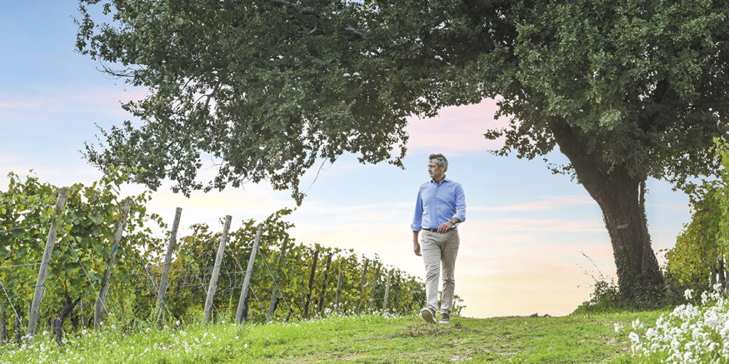 Umani Ronchi: un’anima divisa tra Verdicchio e Montepulciano