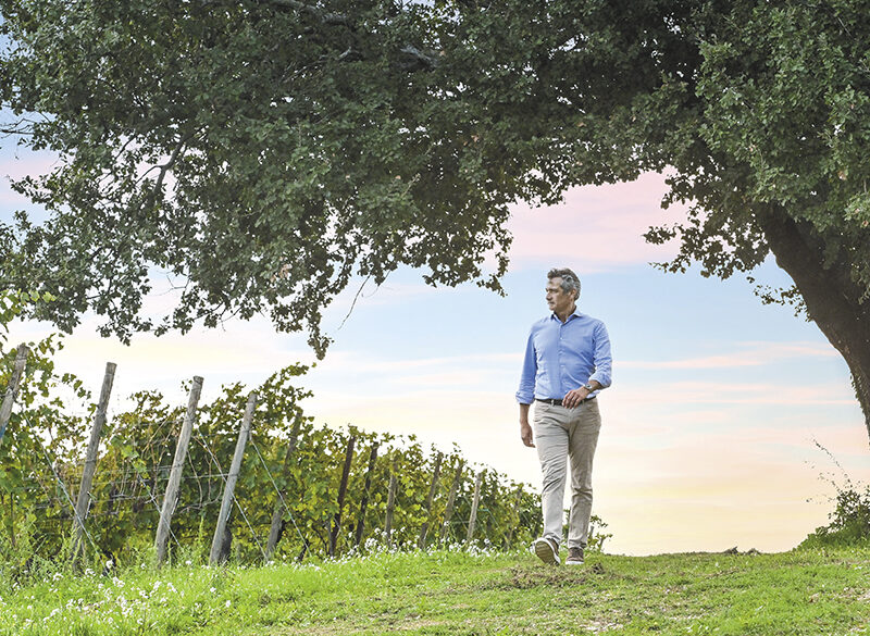 Umani Ronchi: un’anima divisa tra Verdicchio e Montepulciano