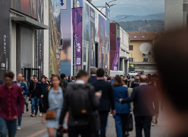 Vinitaly 2026: trend, internazionalizzazione e riflessioni sul comparto