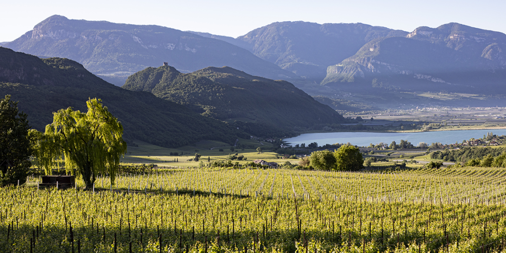 Kalterersee 2025: l’anima più profonda del lago di Caldaro è anche la più moderna
