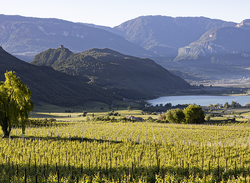 Kalterersee 2025: l’anima più profonda del lago di Caldaro è anche la più moderna
