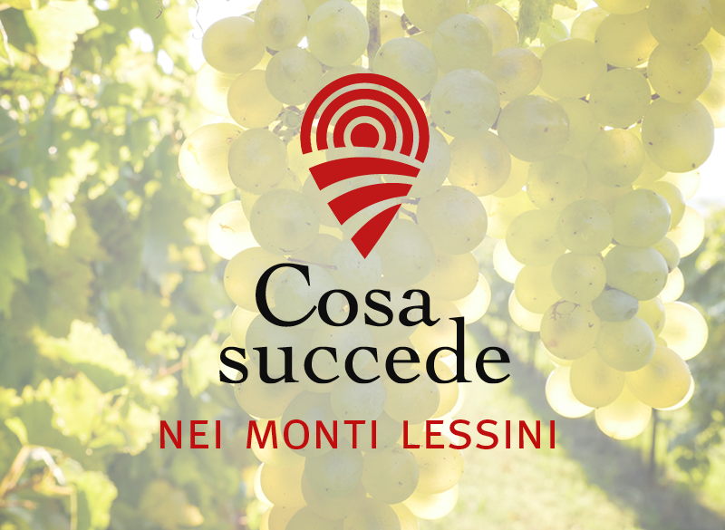 Doc Monti Lessini: i produttori credono nel Metodo Classico