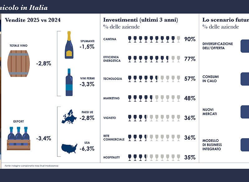 Dove va il vino secondo Mediobanca: ricavi, margini, canali e M&A