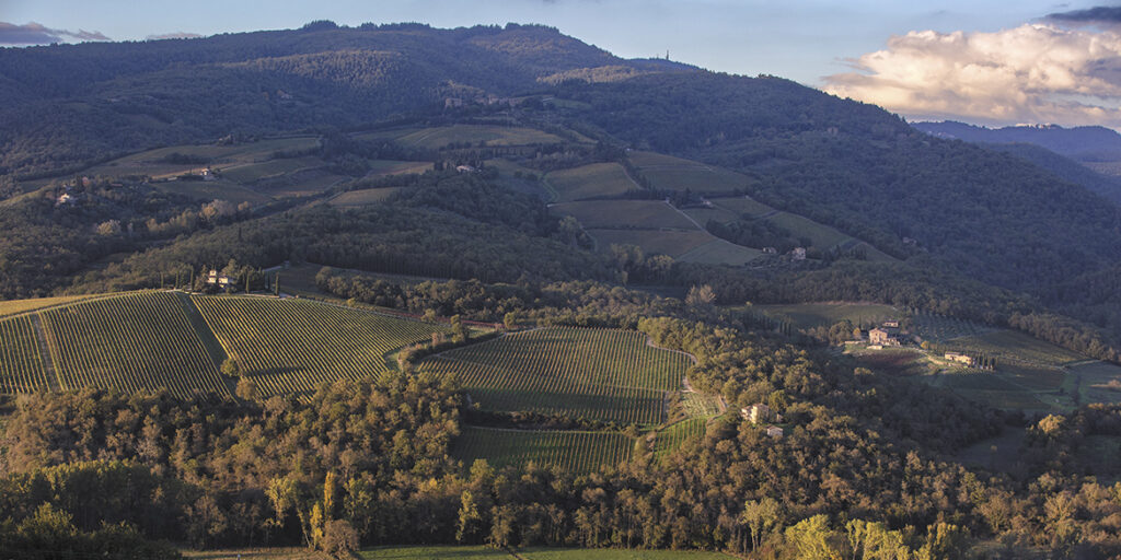 Le Unità geografiche del Chianti Classico: Radda floreali e montani