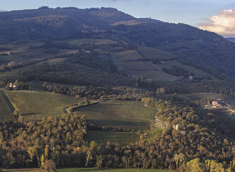 Le Unità geografiche del Chianti Classico: Radda floreali e montani