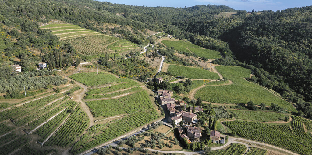 Le Unità geografiche del Chianti Classico: Lamole balsamici e verticali