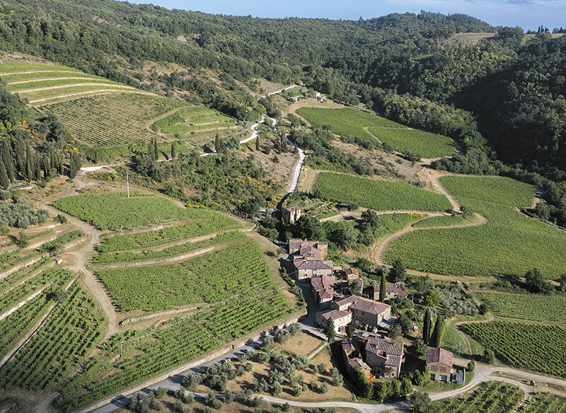 Le Unità geografiche del Chianti Classico: Lamole balsamici e verticali